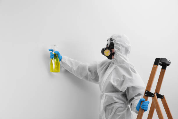 Reliable Rockville, MD Mold Removal Solutions